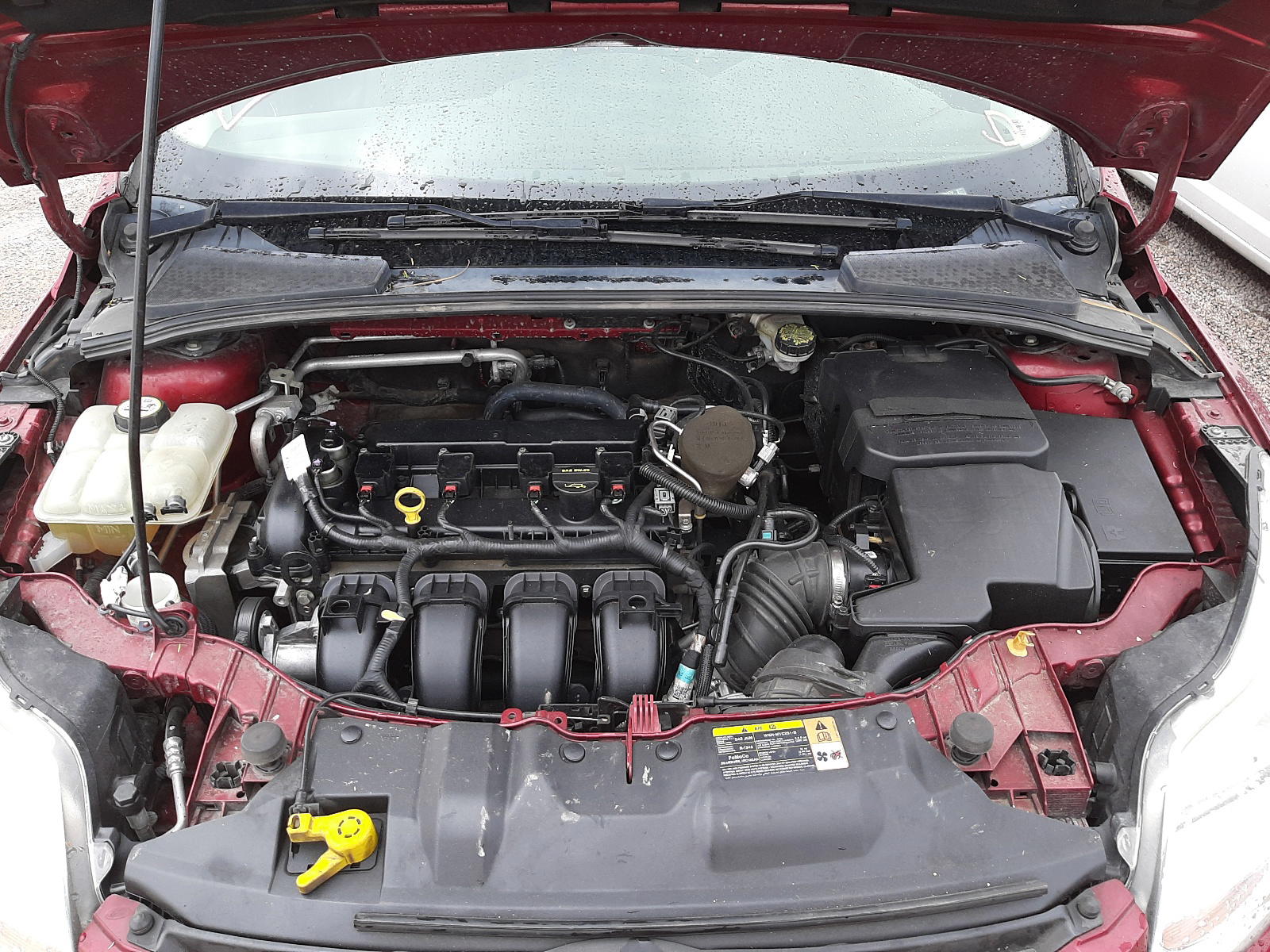 Photo 7 from auction – 2013 FORD FOCUS SE with VIN 1FADP3F29DL290479