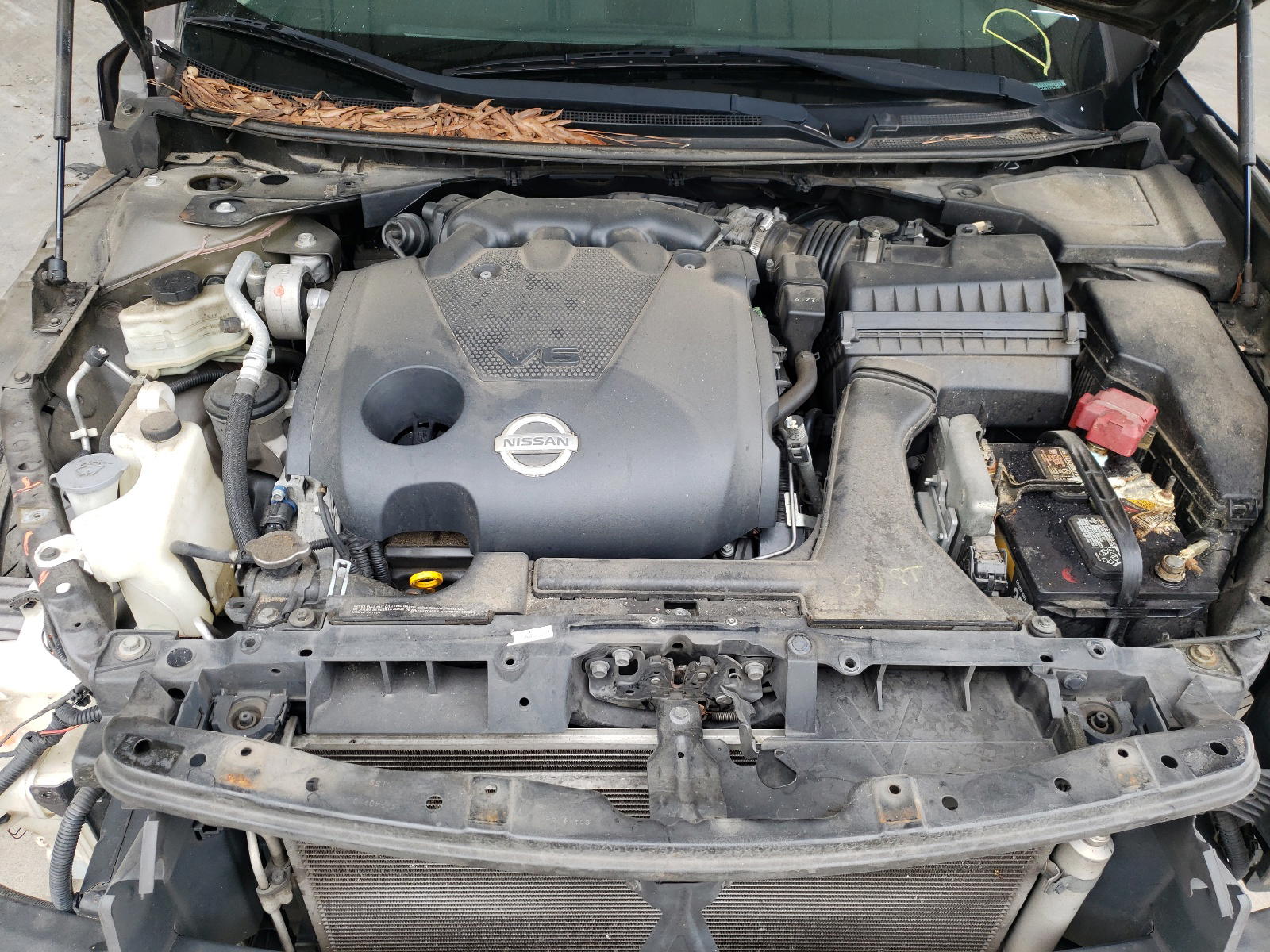 Photo 7 from auction – 2013 NISSAN MAXIMA S with VIN 1N4AA5AP1DC841846