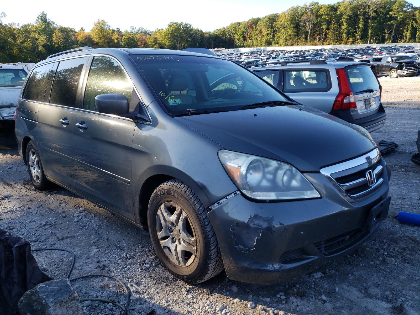 HONDA ODYSSEY 2008 with VIN 5FNRL38767B437787 - Photo from auction