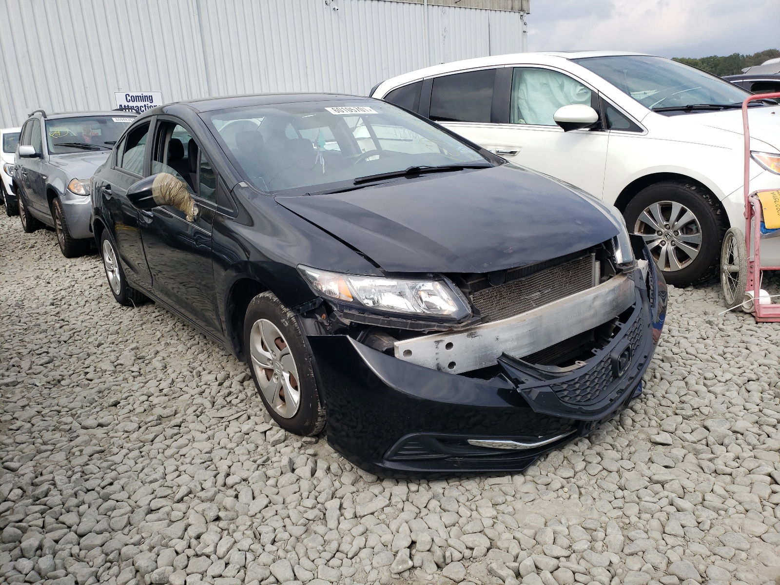 Photo 1 from auction – 2014 HONDA CIVIC LX with VIN 2HGFB2F50EH555358