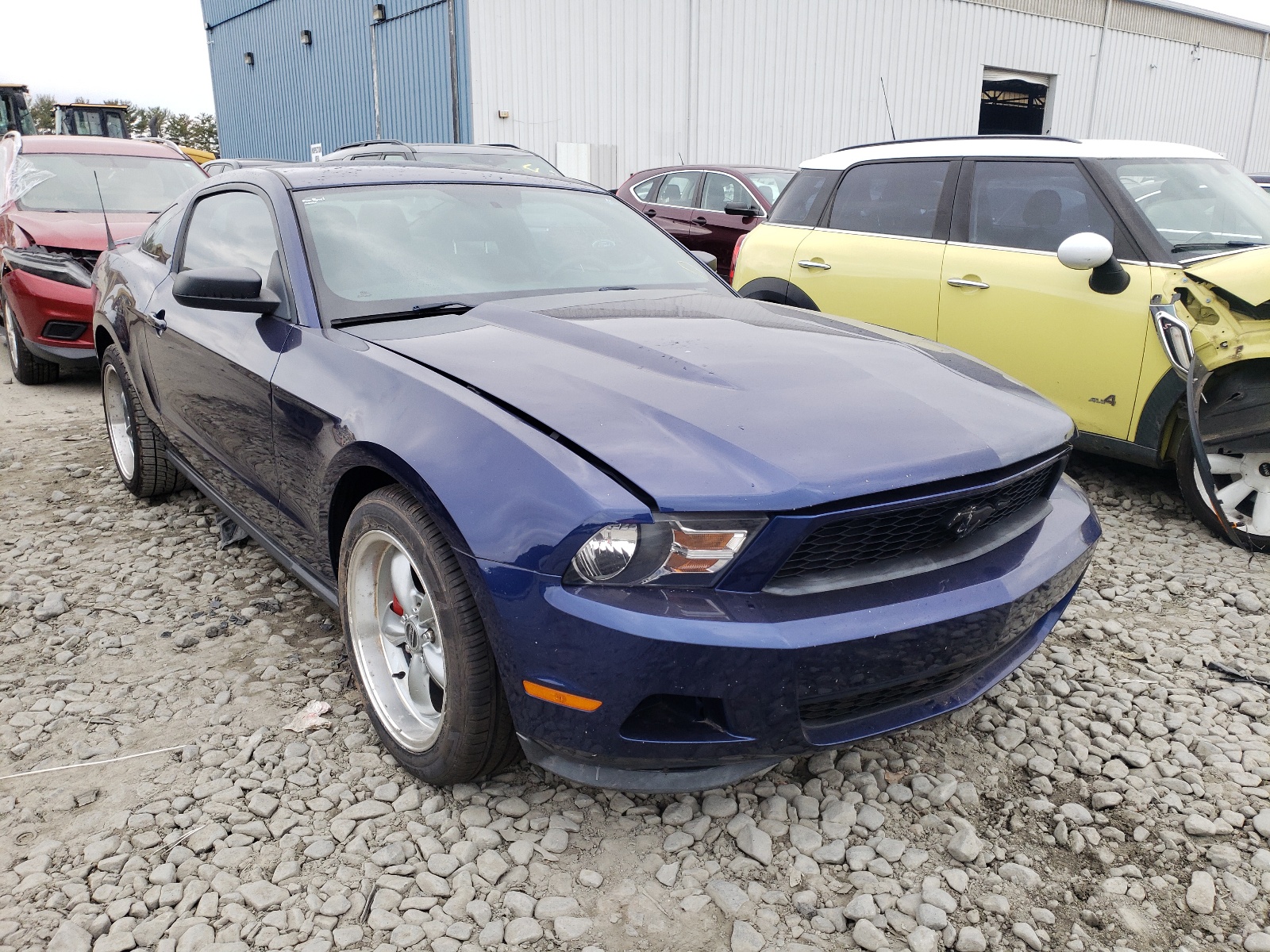 FORD MUSTANG 2012 with VIN 1ZVBP8AM6C5234331 - Photo from auction