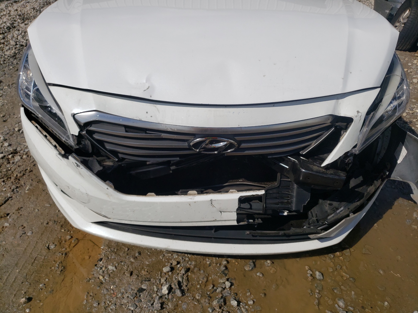 Photo 9 from auction – 2015 HYUNDAI SONATA SE with VIN 5NPE24AF4FH086824
