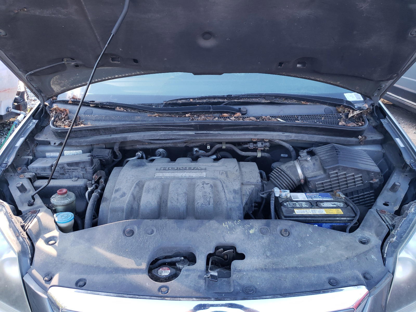 Photo 7 from auction – 2008 HONDA ODYSSEY with VIN 5FNRL38767B437787