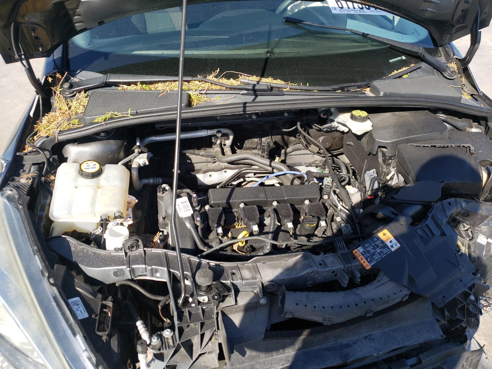 Photo 7 from auction – 2017 FORD FOCUS SE with VIN 1FADP3F2XHL227994