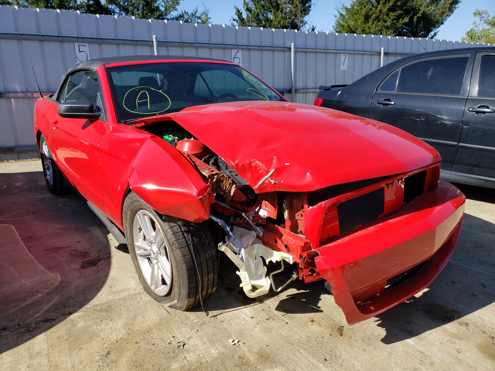 FORD MUSTANG 2011 with VIN 1ZVBP8EM0B5103257 - Photo from auction