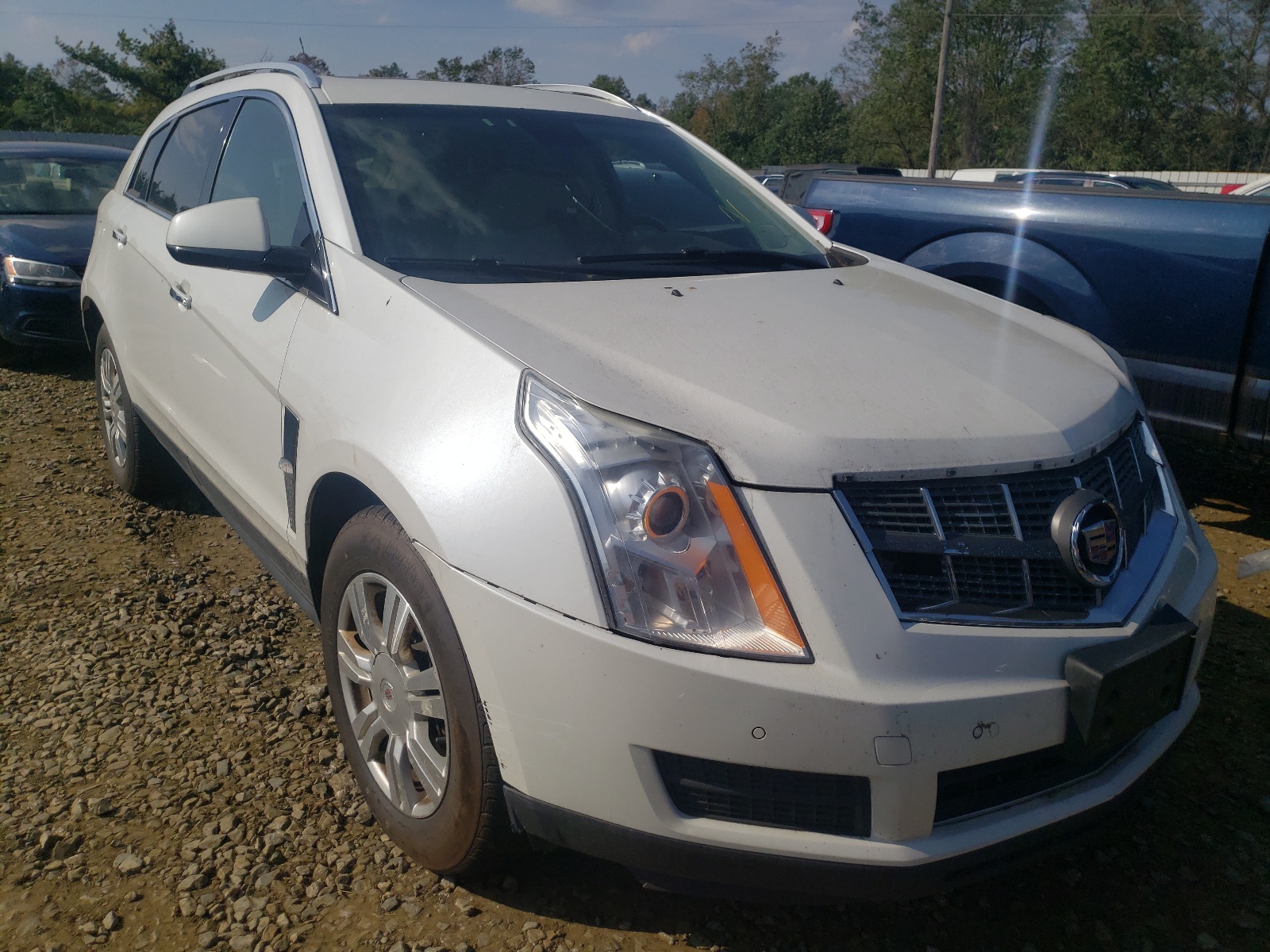 CADILLAC SRX LUXURY 2012 z numerem VIN 3GYFNDE34CS587817 - Zdjęcie z aukcji