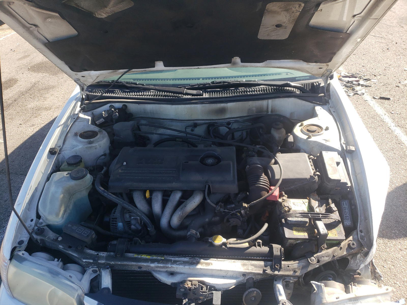 Photo 7 from auction – 2001 TOYOTA COROLLA CE with VIN 1NXBR12E91Z515906