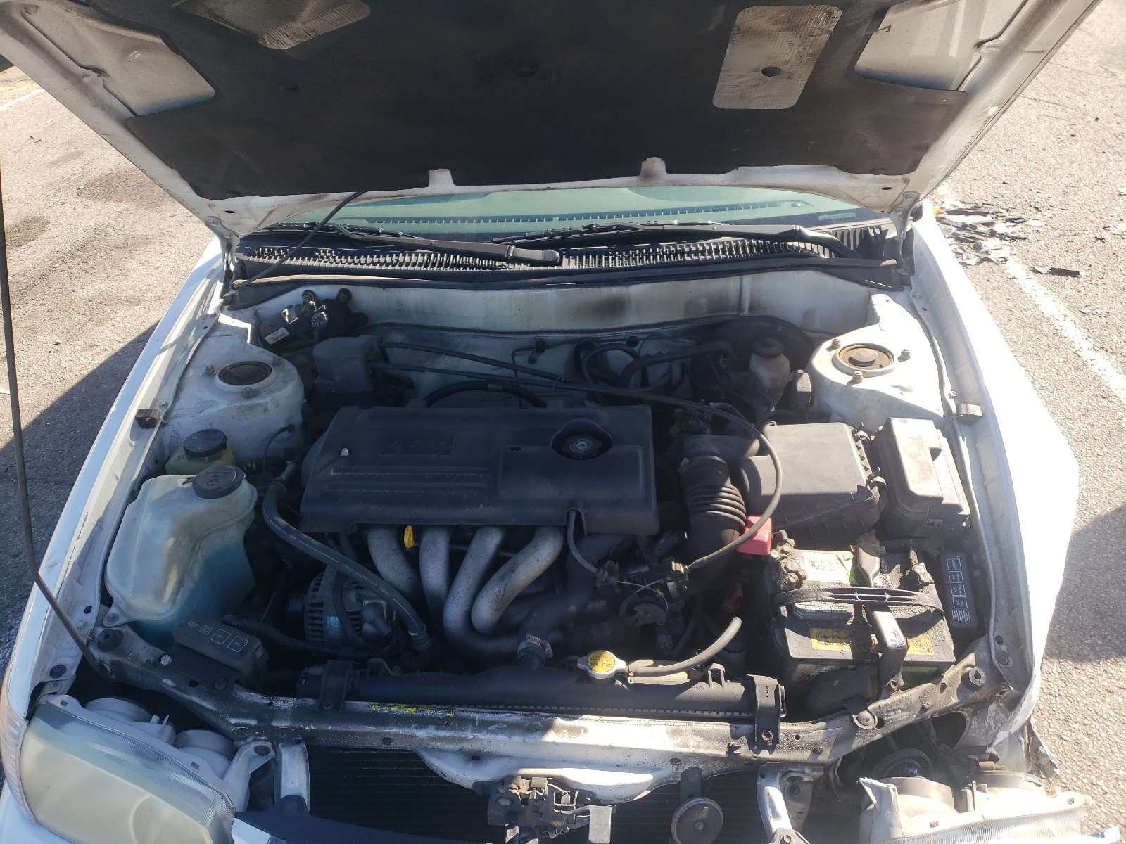 Zdjęcie 7 z aukcji – 2001 TOYOTA COROLLA CE z VIN 1NXBR12E91Z515906