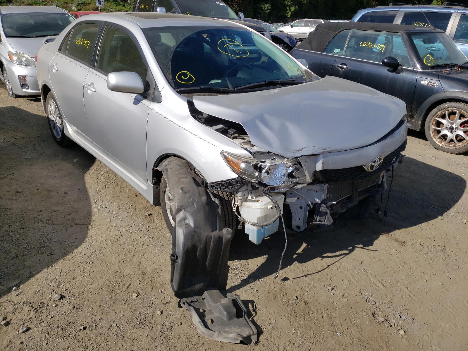 TOYOTA COROLLA BA 2009 with VIN 2T1BU40E99C103727 - Photo from auction