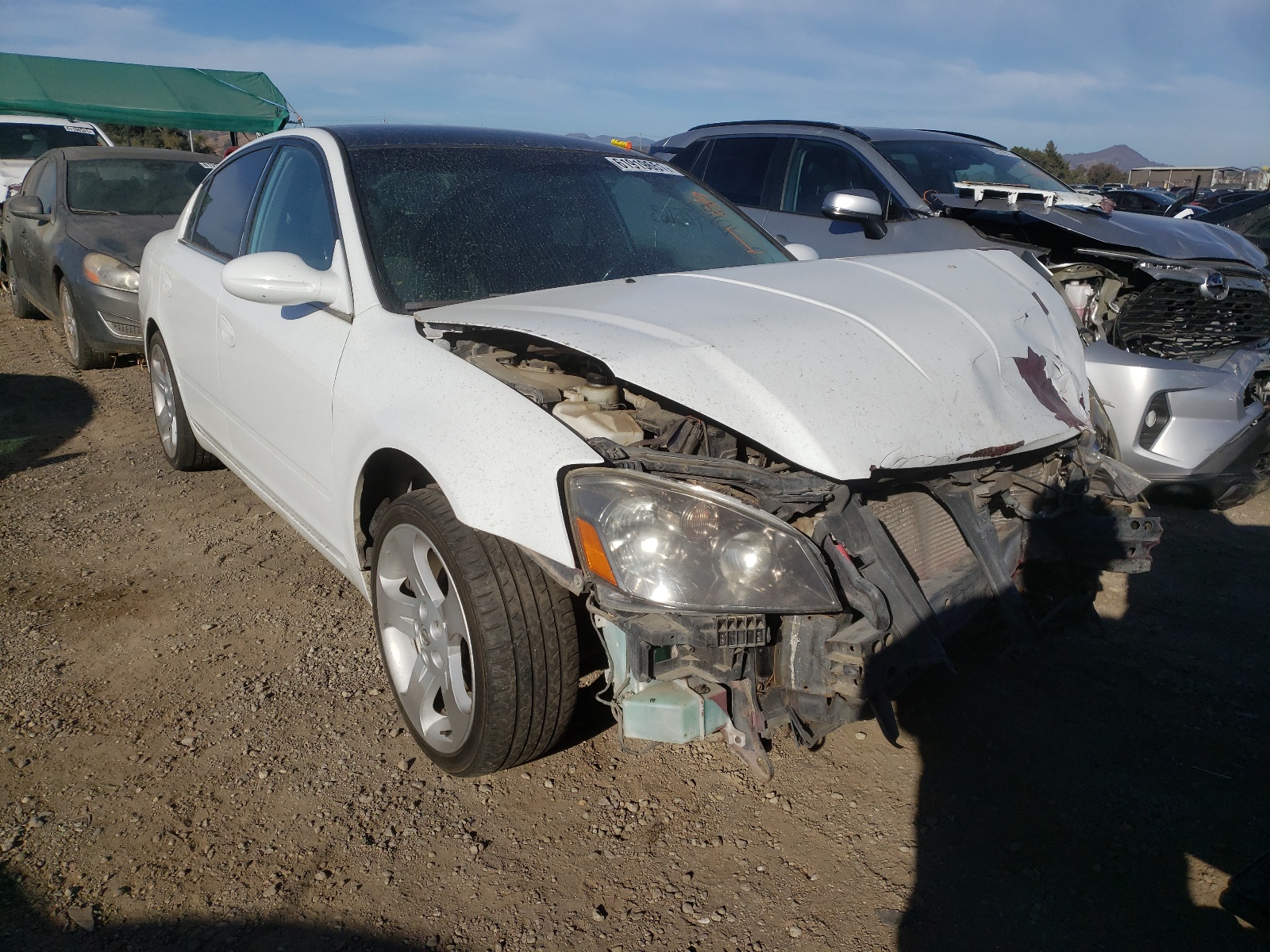 NISSAN ALTIMA 2006 with VIN 1N4AL11D36N306419 - Photo from auction