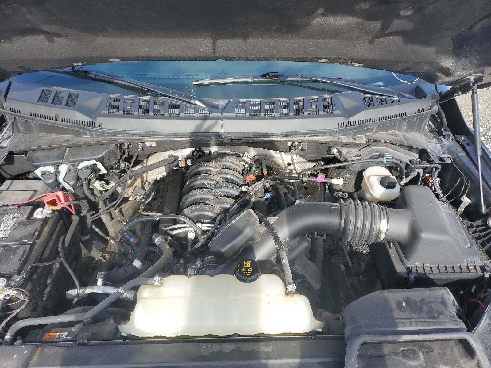 Photo 12 from auction – 2020 FORD F150 SUPER with VIN 1FTFW1E58LFC68220
