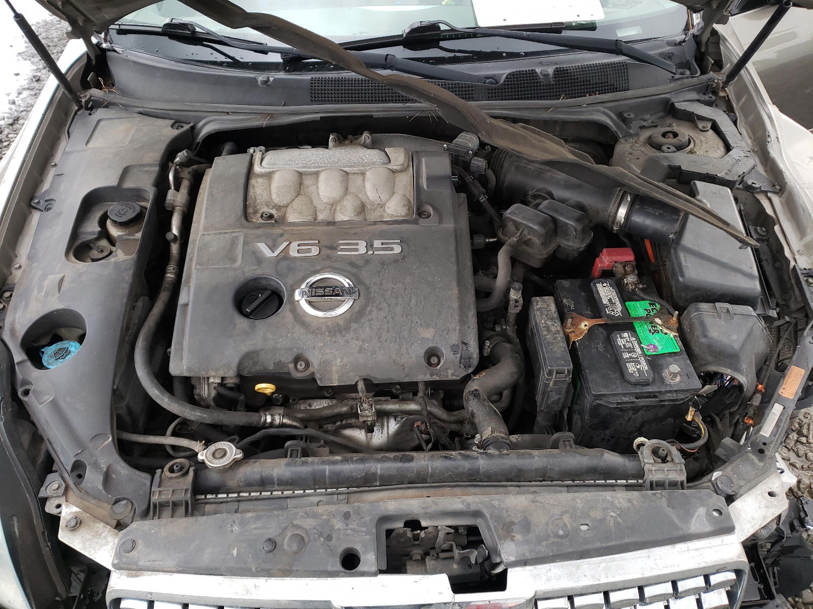 Photo 7 from auction – 2005 NISSAN MAXIMA SE with VIN 1N4BA41E95C843262