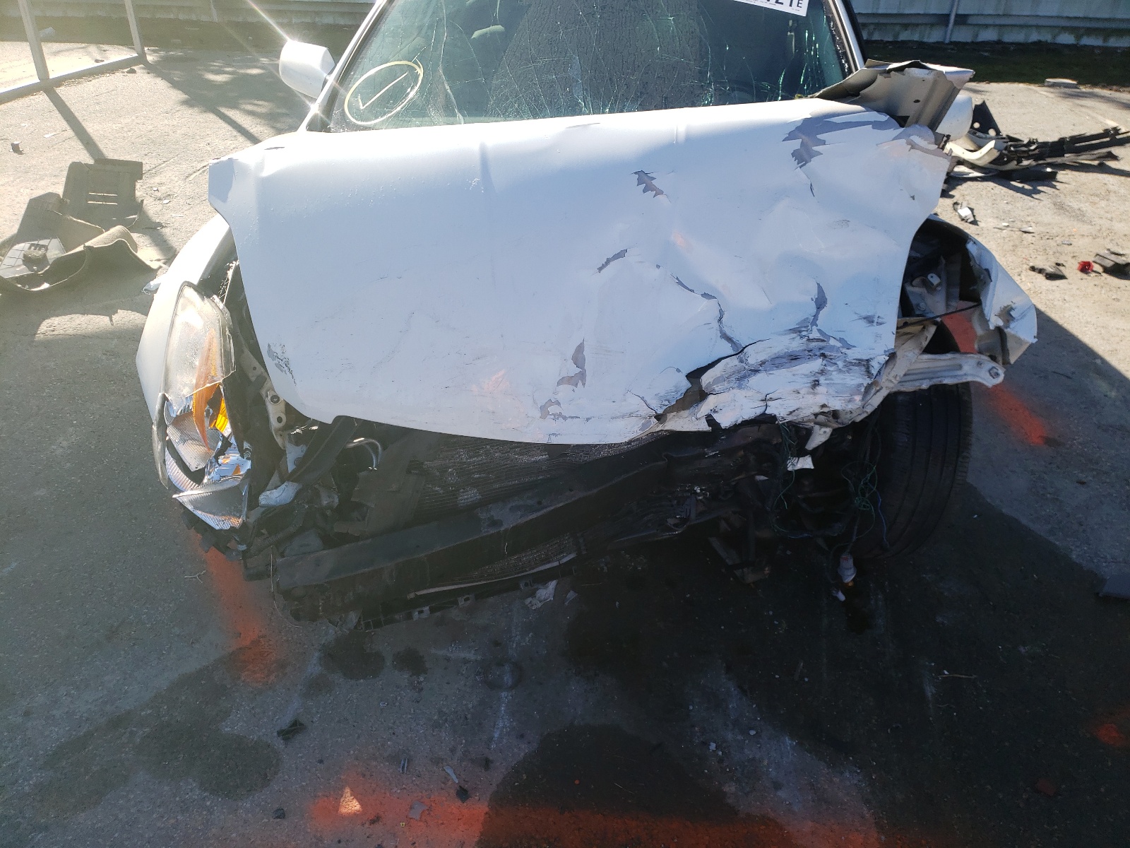 Photo 7 from auction – 2009 NISSAN ALTIMA 2.5 with VIN 1N4AL21E29N535385
