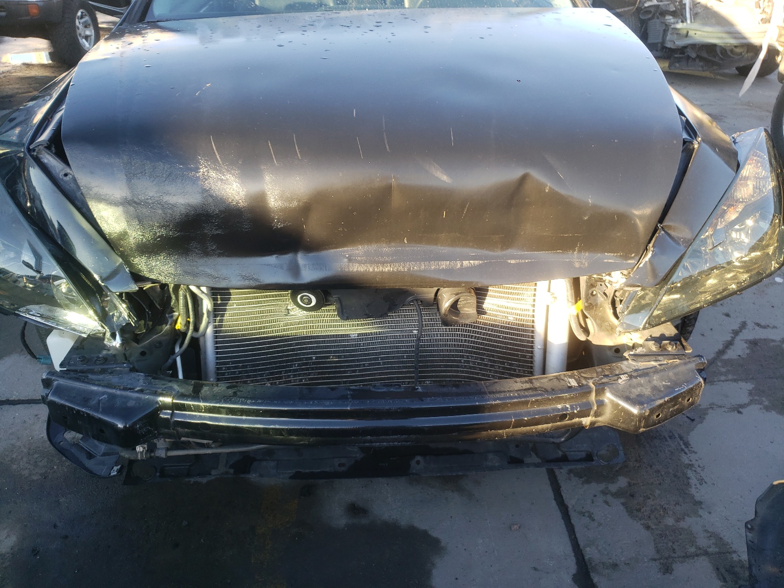 Photo 9 from auction – 2005 HONDA ACCORD EX with VIN 1HGCM81675A014452