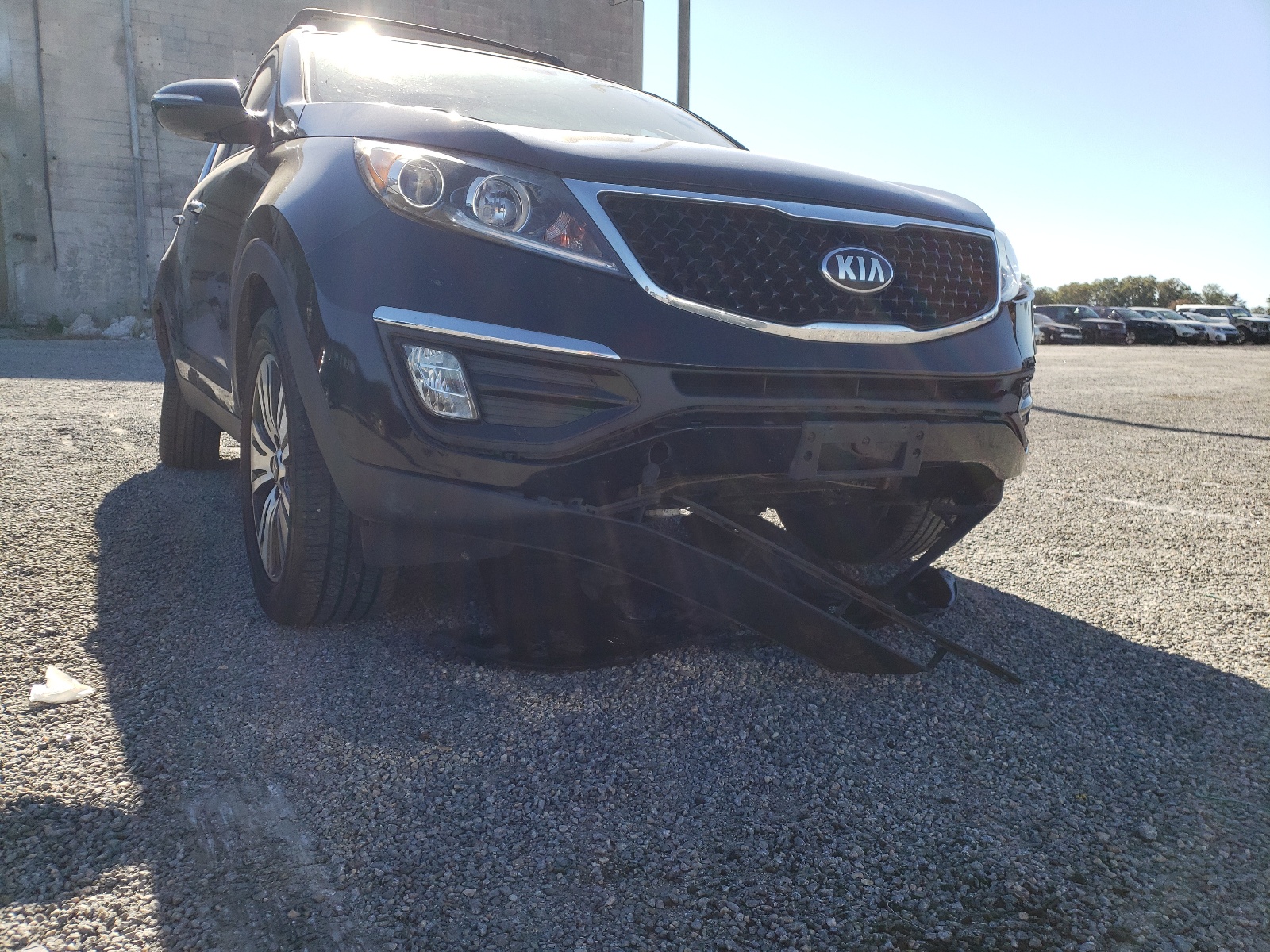 Фото 9 с аукциона – 2015 KIA SPORTAGE E с VIN KNDPC3AC1F7772765