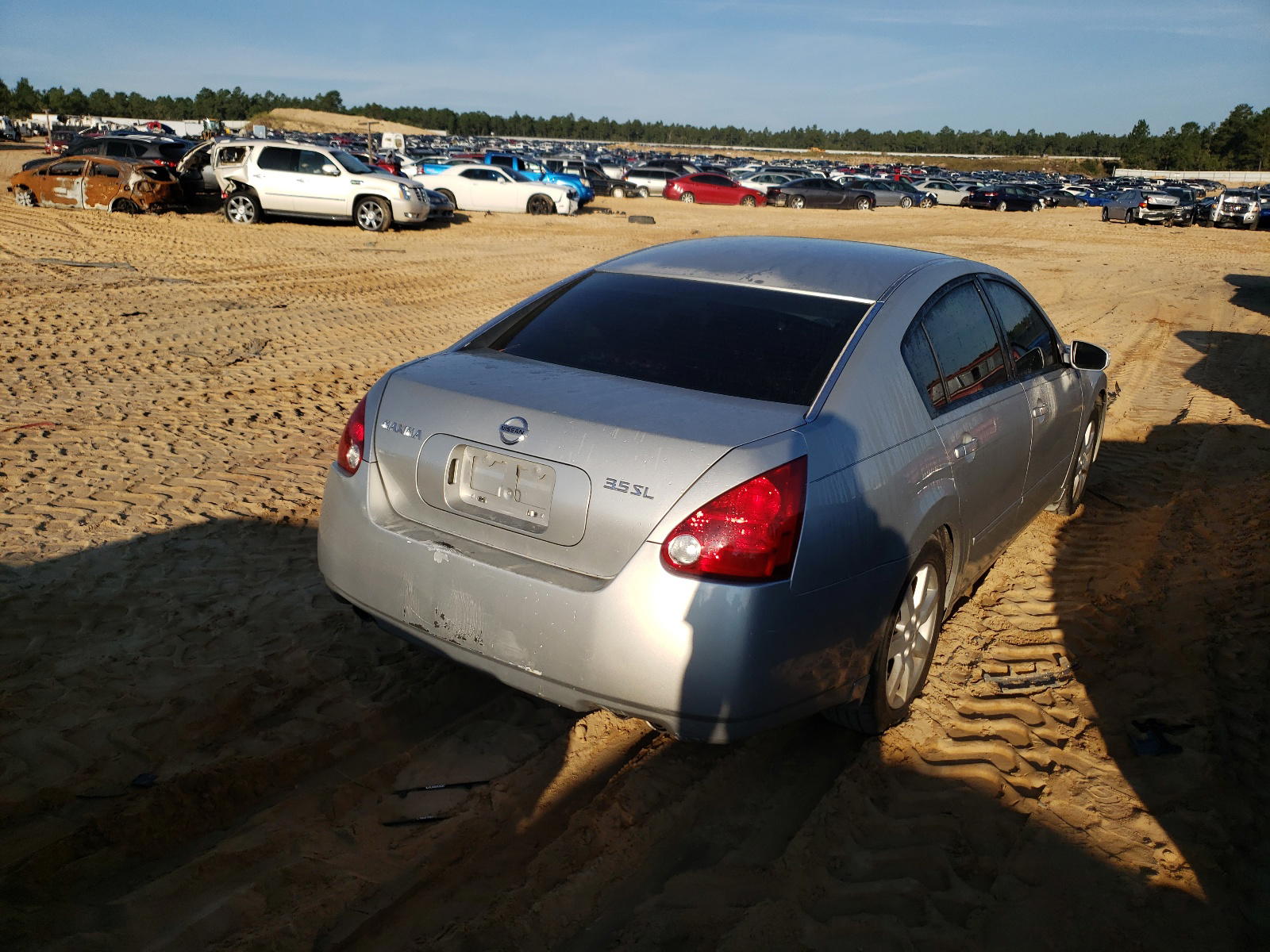 Photo 4 from auction – 2005 NISSAN MAXIMA SE with VIN 1N4BA41E15C803595