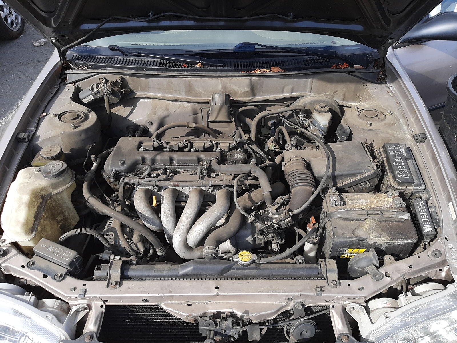 Photo 7 from auction – 2001 TOYOTA COROLLA CE with VIN 1NXBR12E51Z448320