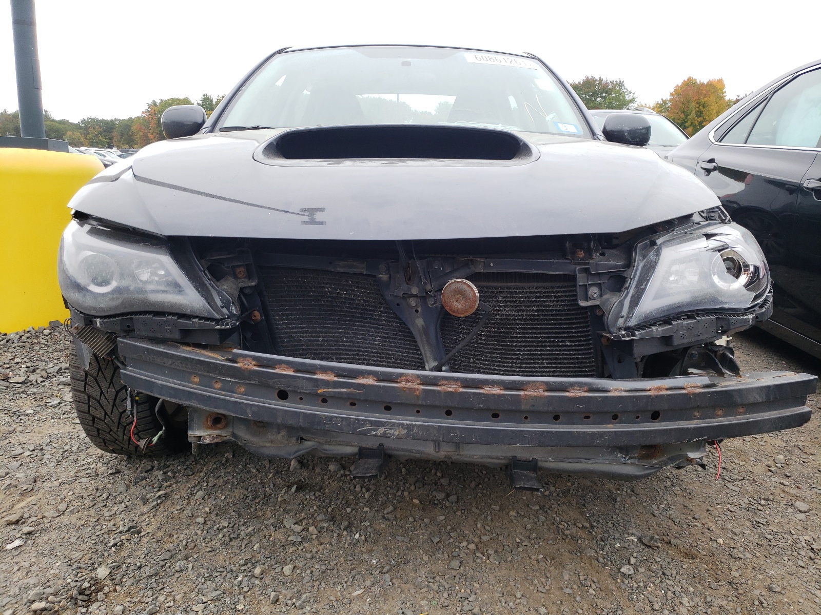 Photo 9 from auction – 2010 SUBARU IMPREZA WR with VIN JF1GE7G61AG512142