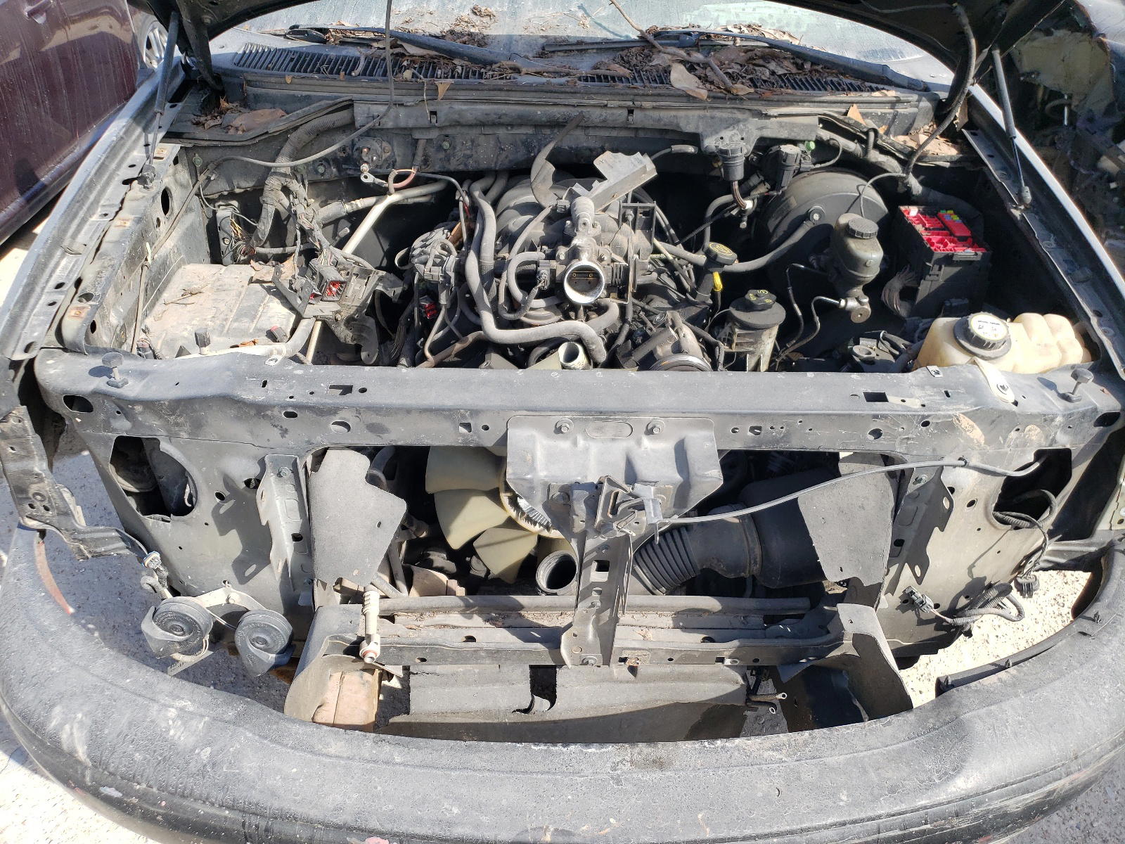 Photo 7 from auction – 2003 FORD F150 with VIN 1FTRF17273NA61985