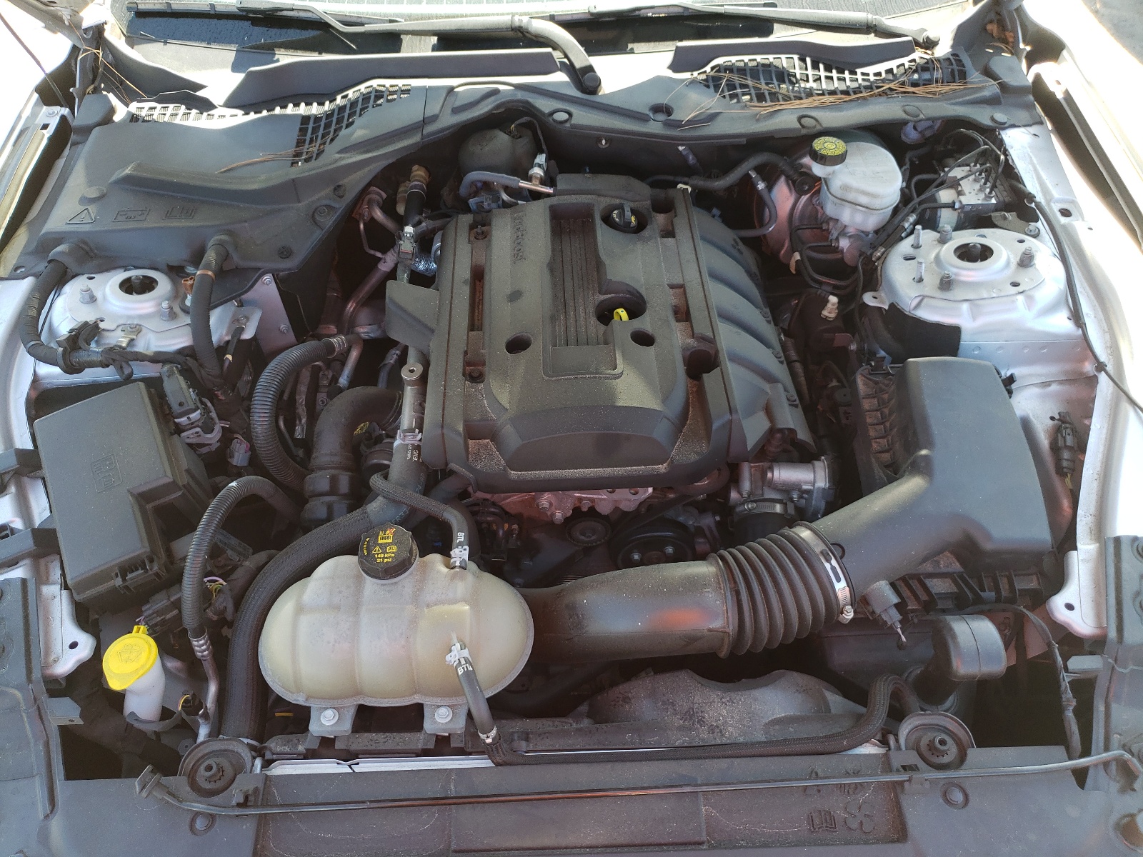 Photo 7 from auction – 2019 FORD MUSTANG with VIN 1FA6P8TH6K5150602