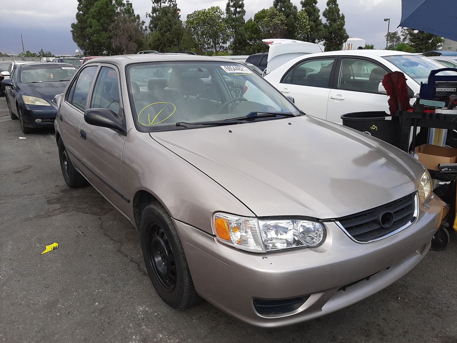 TOYOTA COROLLA CE 2001 with VIN 1NXBR12E51Z448320 - Photo from auction