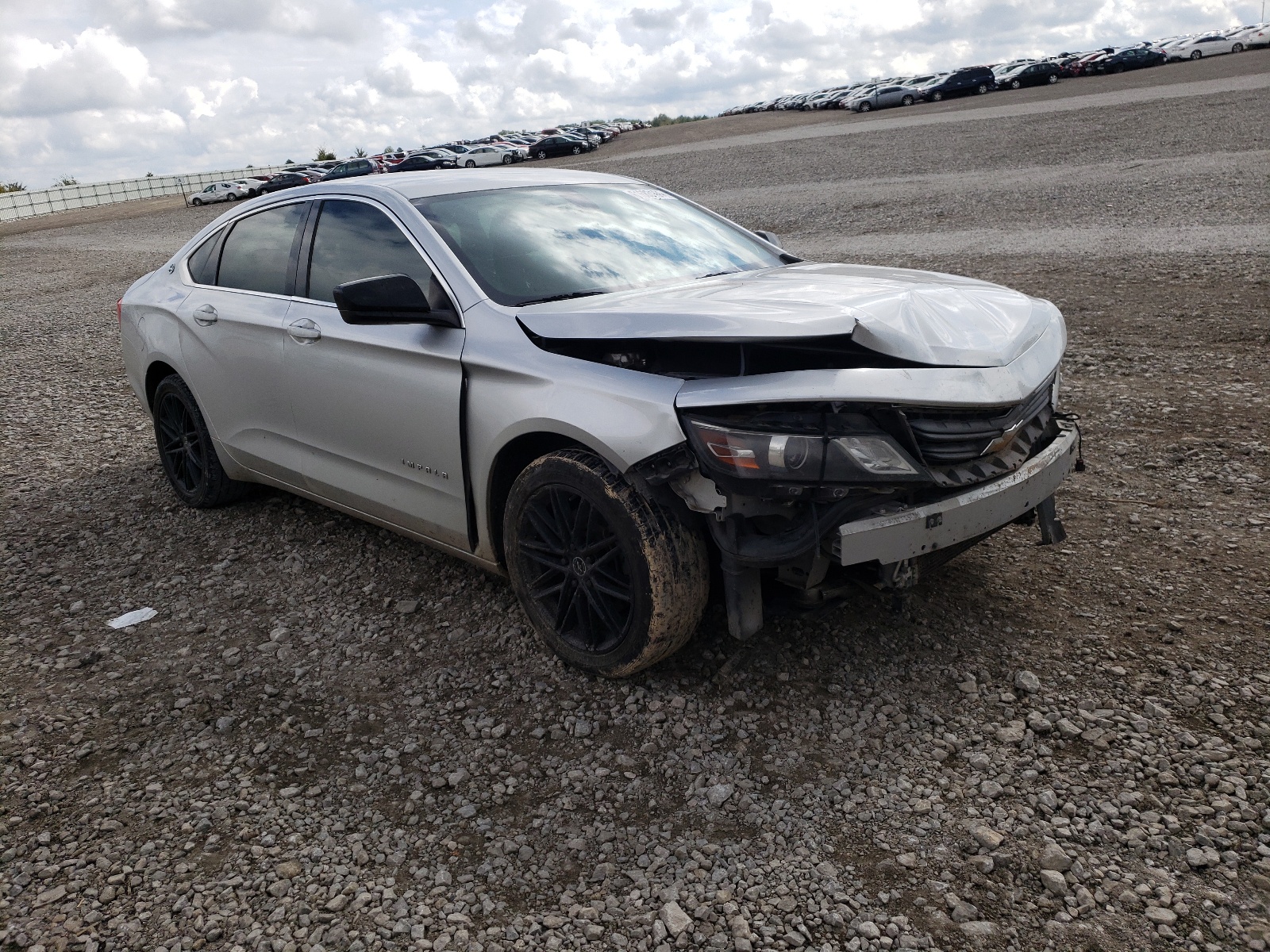 CHEVROLET IMPALA LS 2014 with VIN 2G11Y5SL1E9275044 - Photo from auction
