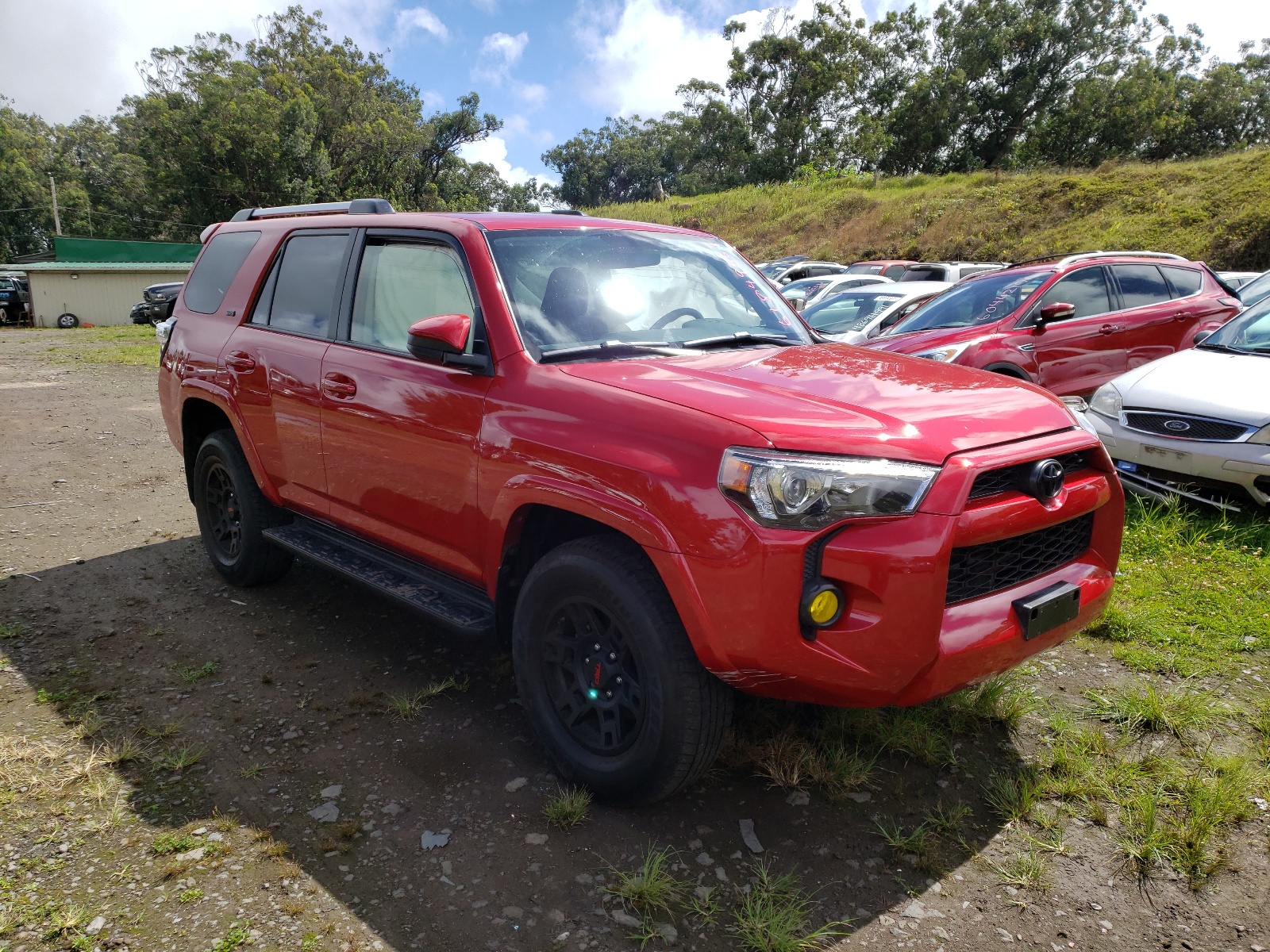 TOYOTA 4RUNNER SR 2019 with VIN JTEBU5JR3K5671669 - Photo from auction
