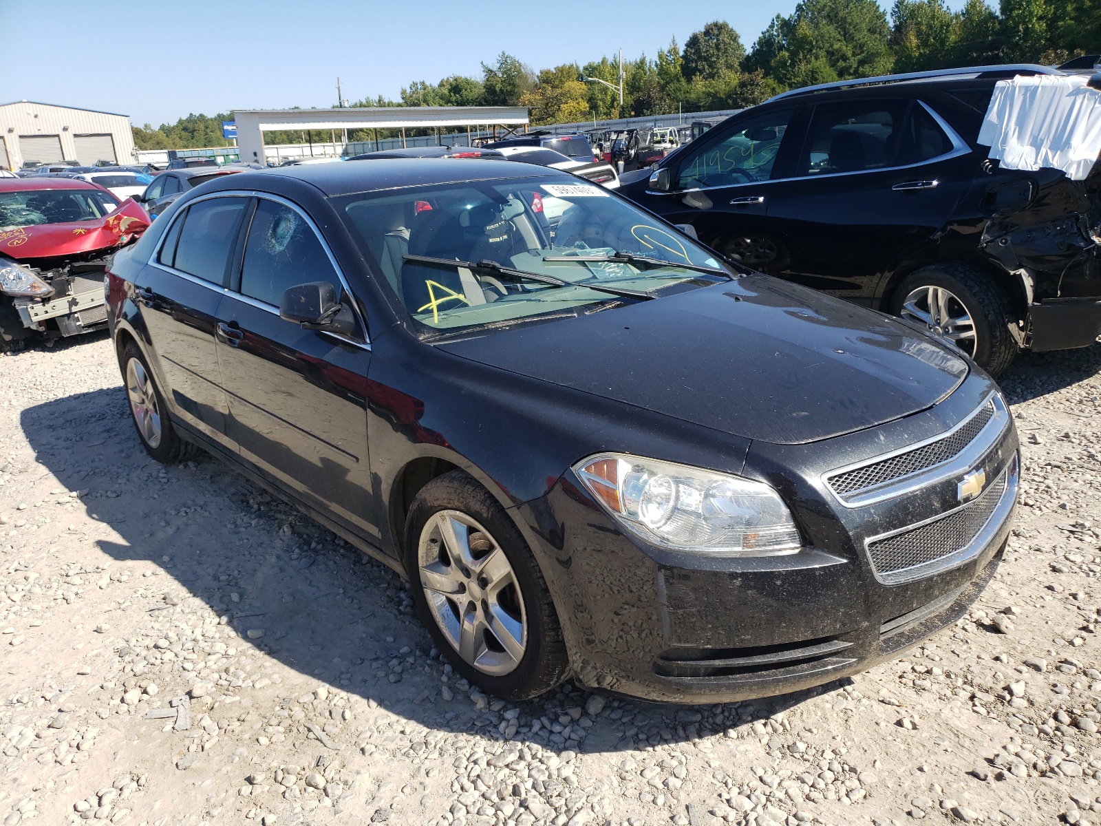 CHEVROLET MALIBU LS 2012 with VIN 1G1ZB5E01CF169462 - Photo from auction