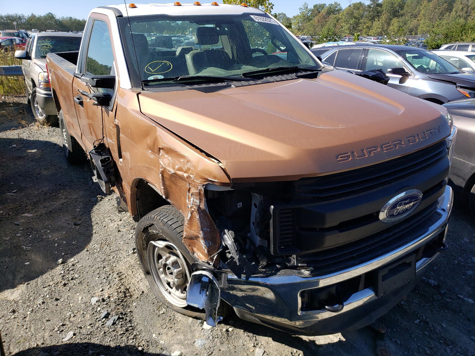 FORD F250 SUPER 2019 with VIN 1FTBF2B60KED46060 - Photo from auction