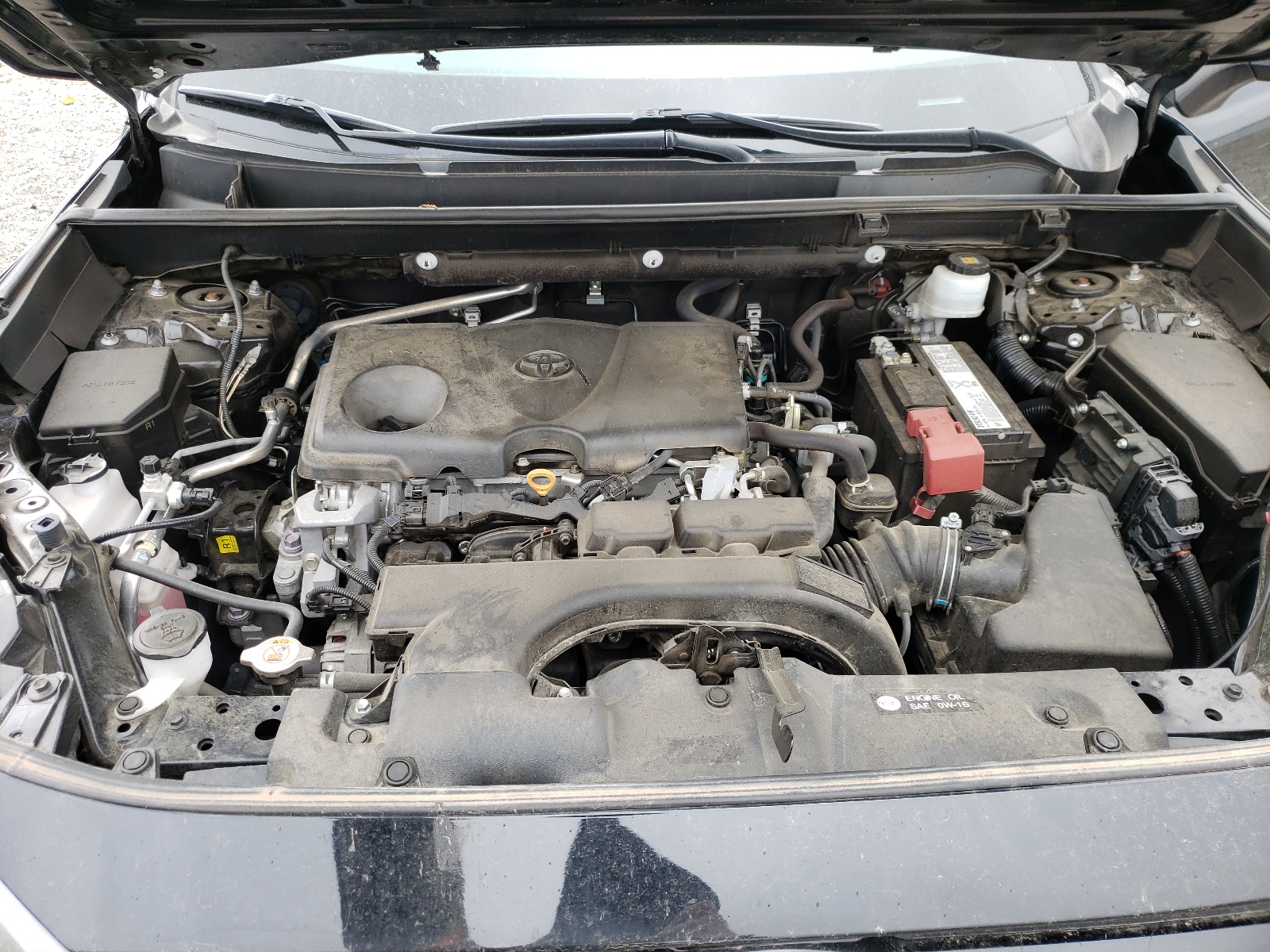 Photo 7 from auction – 2019 TOYOTA RAV4 LE with VIN 2T3H1RFV2KW006078