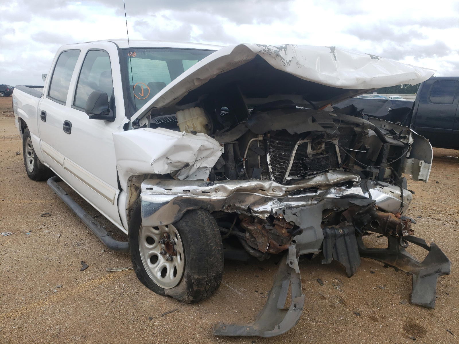 CHEVROLET SILVERADO 2005 with VIN 2GCEC13T551324601 - Photo from auction