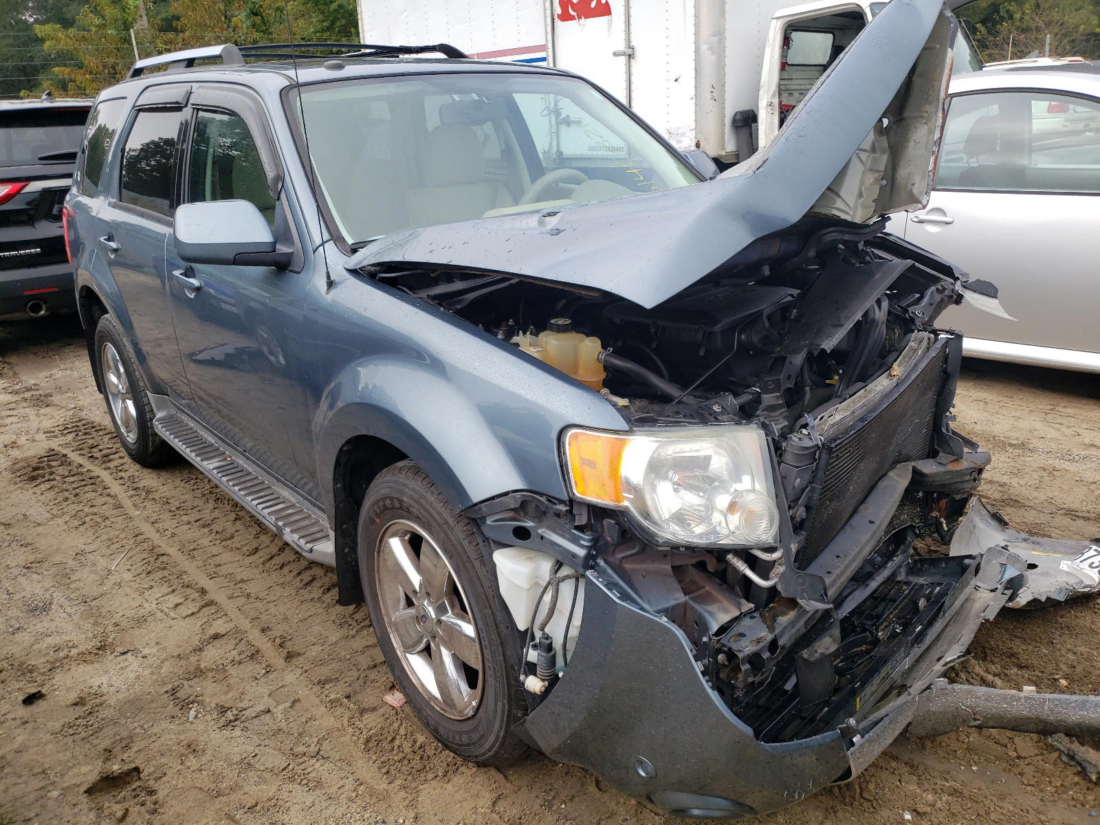 FORD ESCAPE LIM 2010 with VIN 1FMCU0EG2AKC15548 - Photo from auction