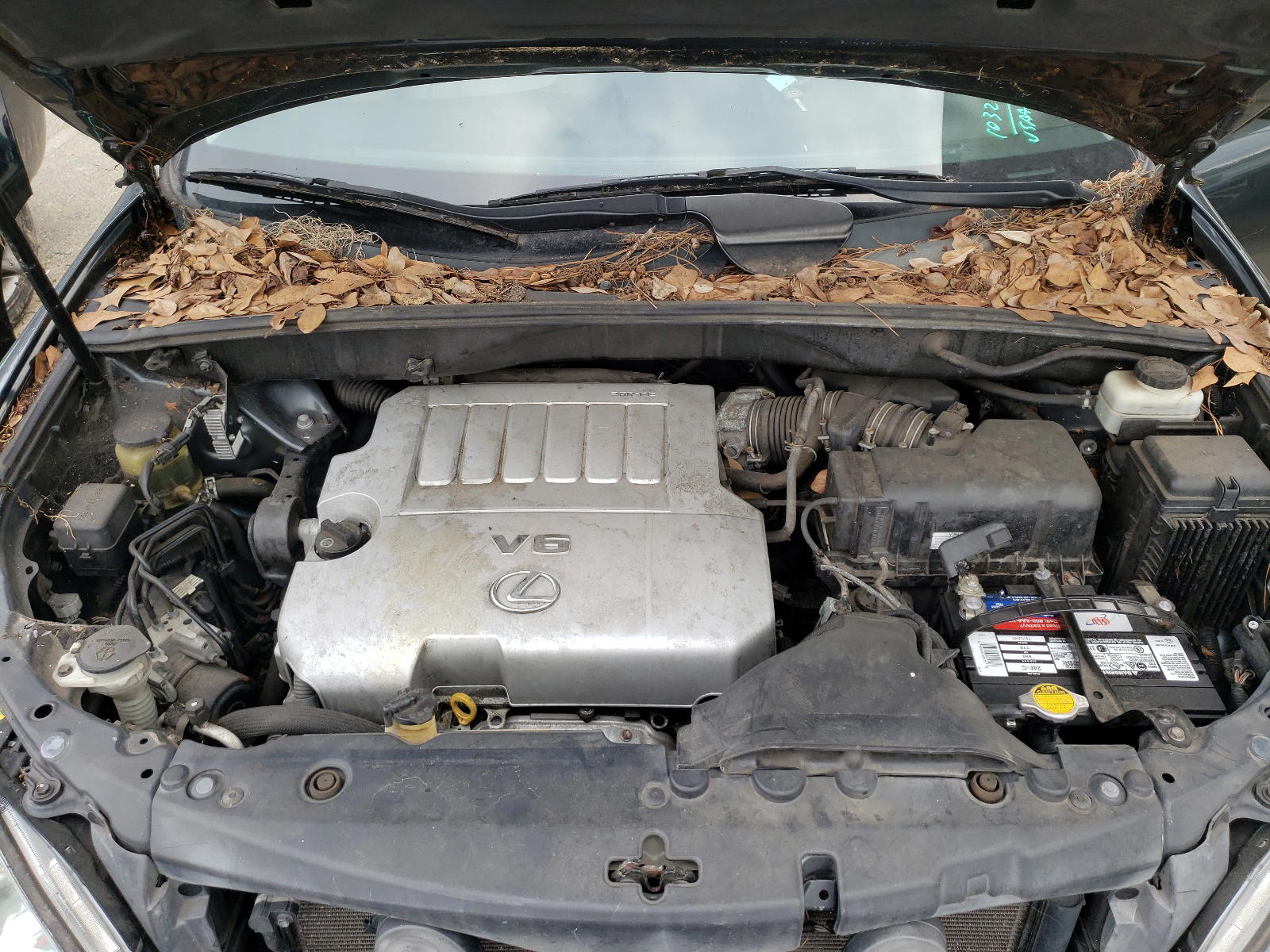 Photo 7 from auction – 2007 LEXUS RX 350 with VIN 2T2GK31U97C022666