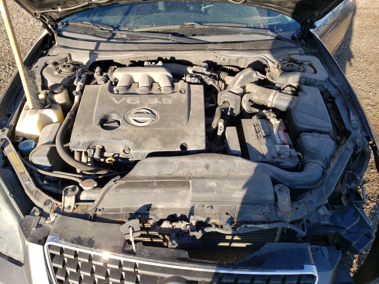 Photo 7 from auction – 2006 NISSAN ALTIMA SE with VIN 1N4BL11E06C198379
