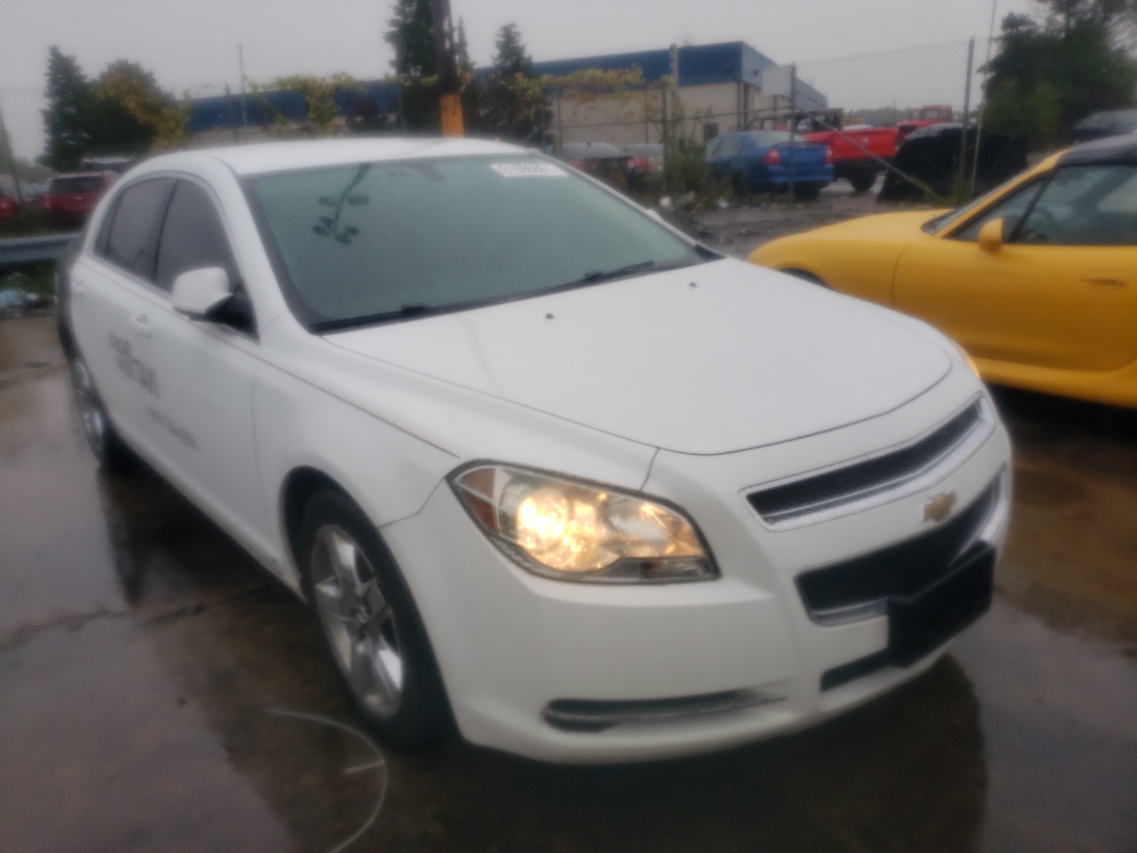 CHEVROLET MALIBU 1LT 2010 with VIN 1G1ZC5EB0AF110480 - Photo from auction