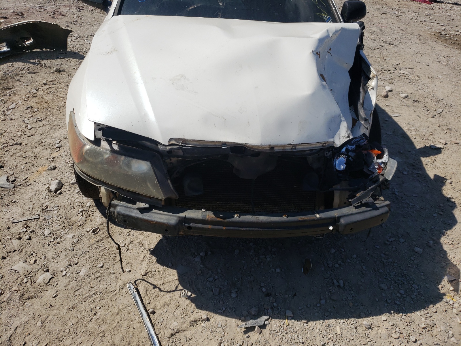 Photo 9 from auction – 2004 ACURA TSX with VIN JH4CL96834C035317