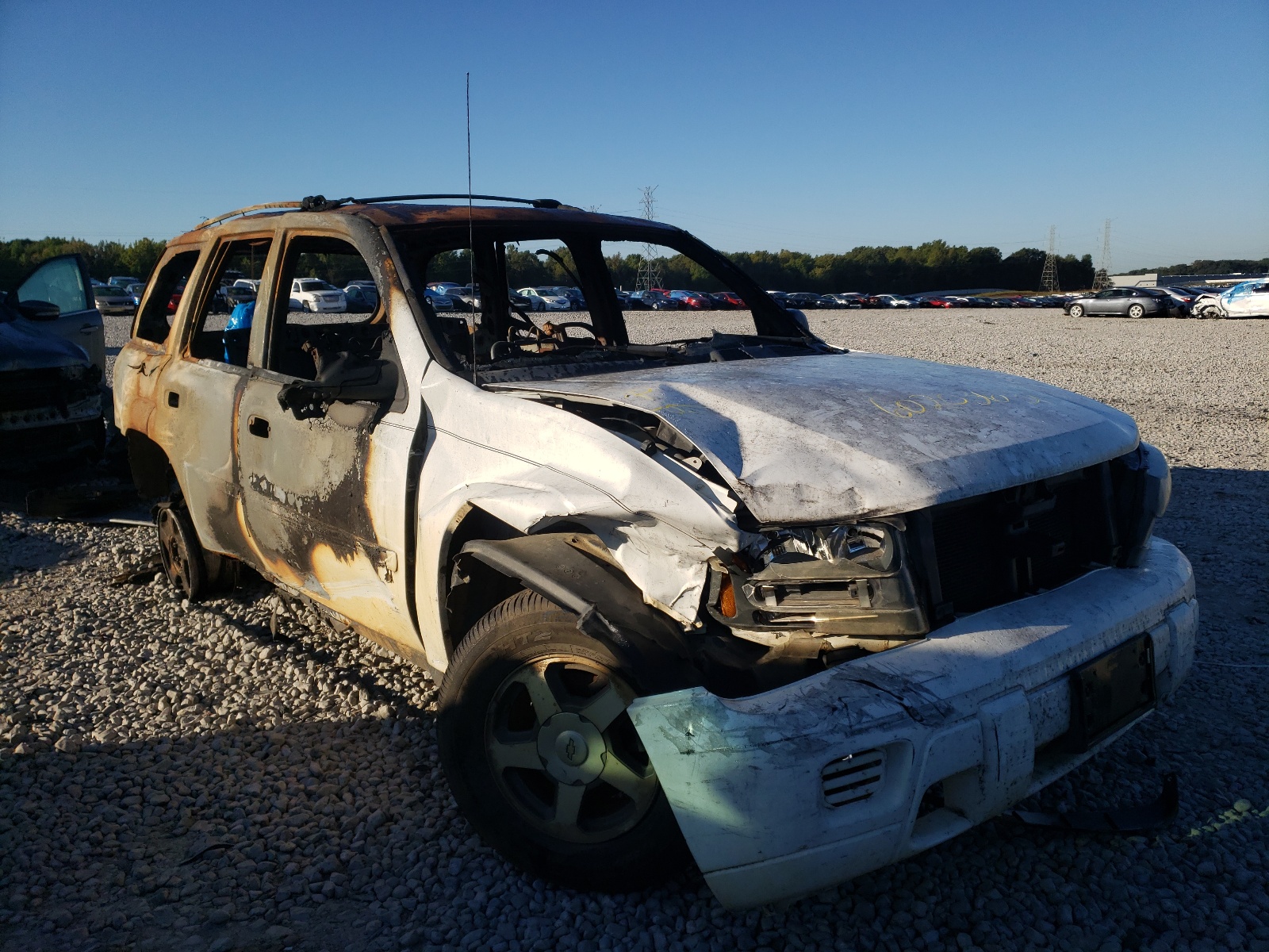 CHEVROLET TRAILBLAZE 2006 with VIN 1GNDT13S962168168 - Photo from auction