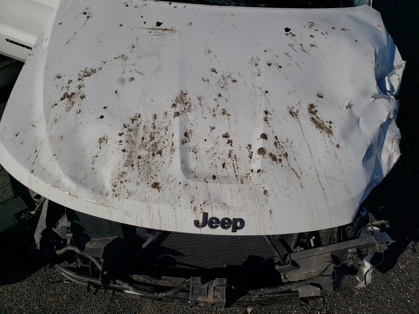 Photo 7 from auction – 2018 JEEP GRAND CHER with VIN 1C4RJFCGXJC190020