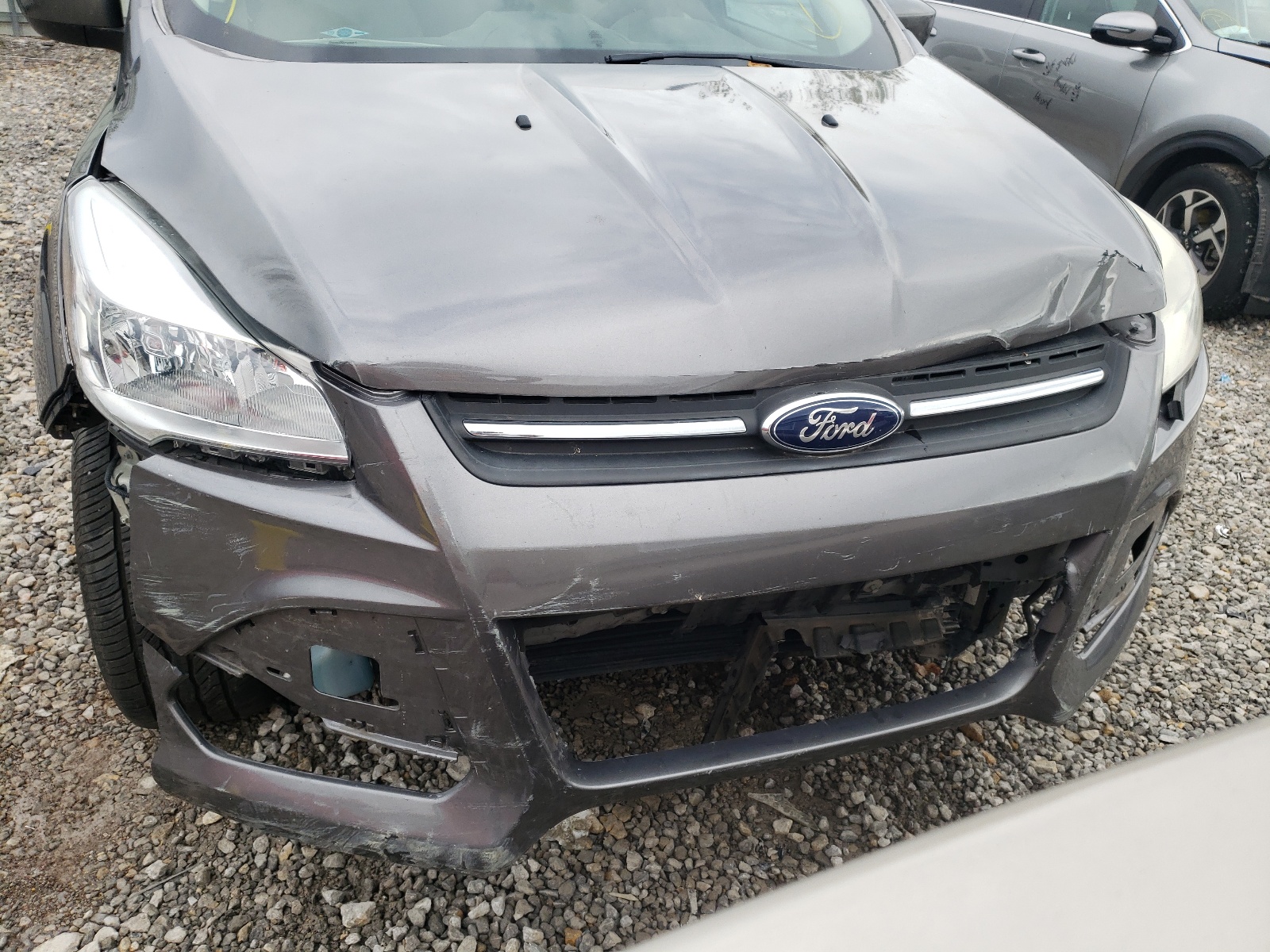 Photo 9 from auction – 2014 FORD ESCAPE SE with VIN 1FMCU9GX8EUA62105