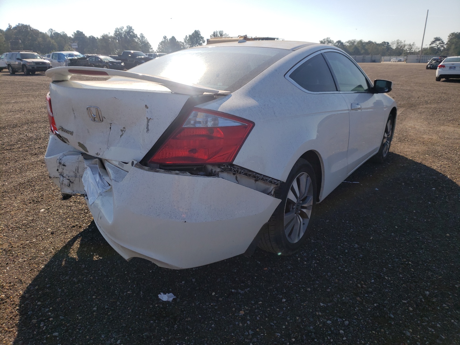 Photo 4 from auction – 2010 HONDA ACCORD EXL with VIN 1HGCS1B87AA006245