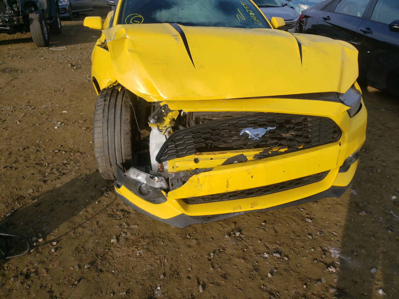 Photo 9 from auction – 2016 FORD MUSTANG with VIN 1FA6P8TH6G5293220