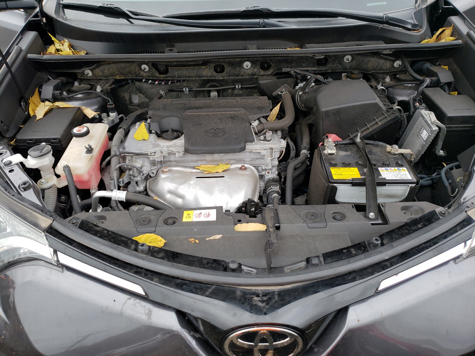 Photo 7 from auction – 2017 TOYOTA RAV4 XLE with VIN JTMRFREV0HJ702050
