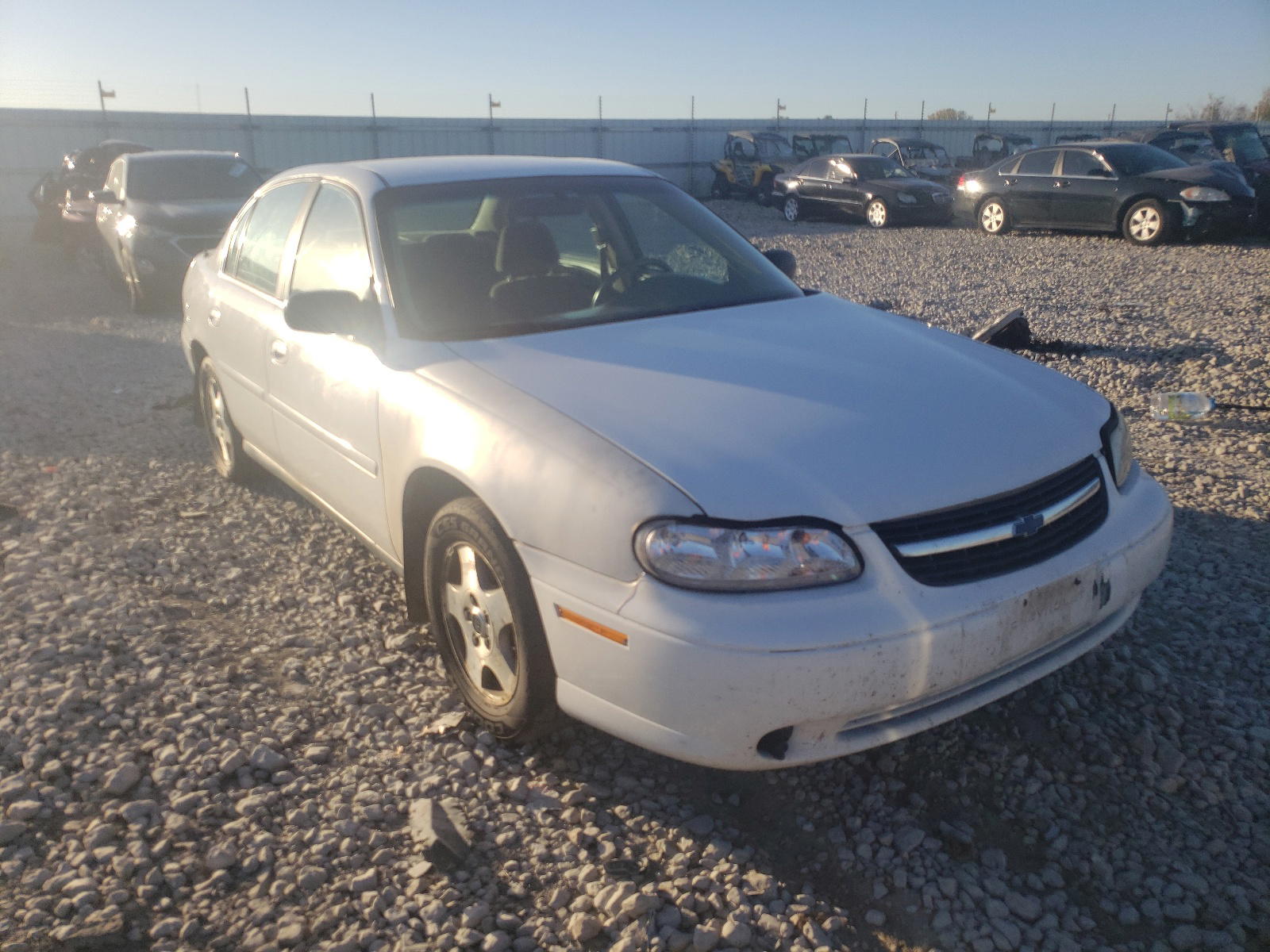 CHEVROLET CLASSIC 2005 with VIN 1G1ND52F05M250971 - Photo from auction