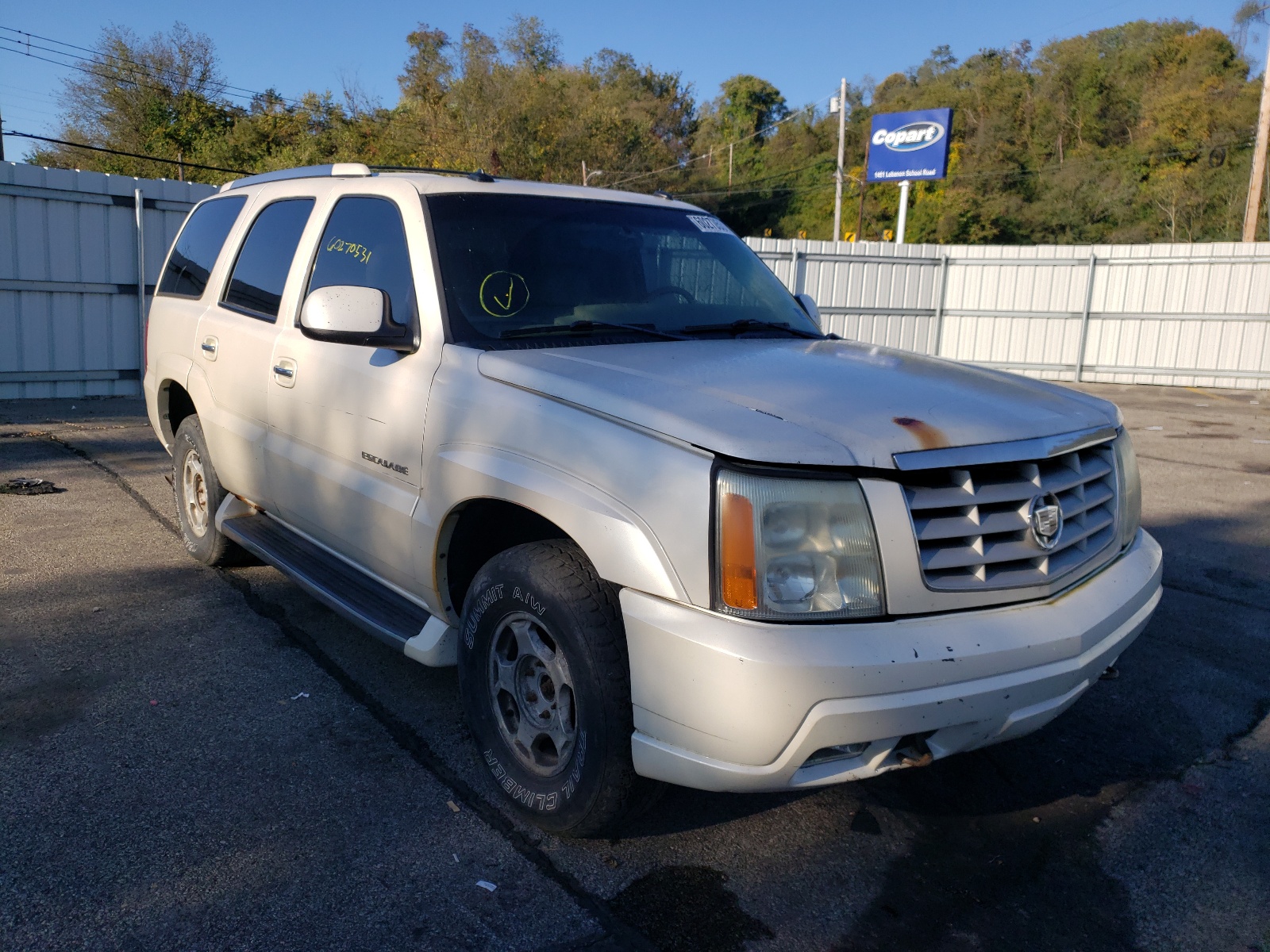 CADILLAC ESCALADE L 2003 with VIN 1GYEK63N13R289958 - Photo from auction