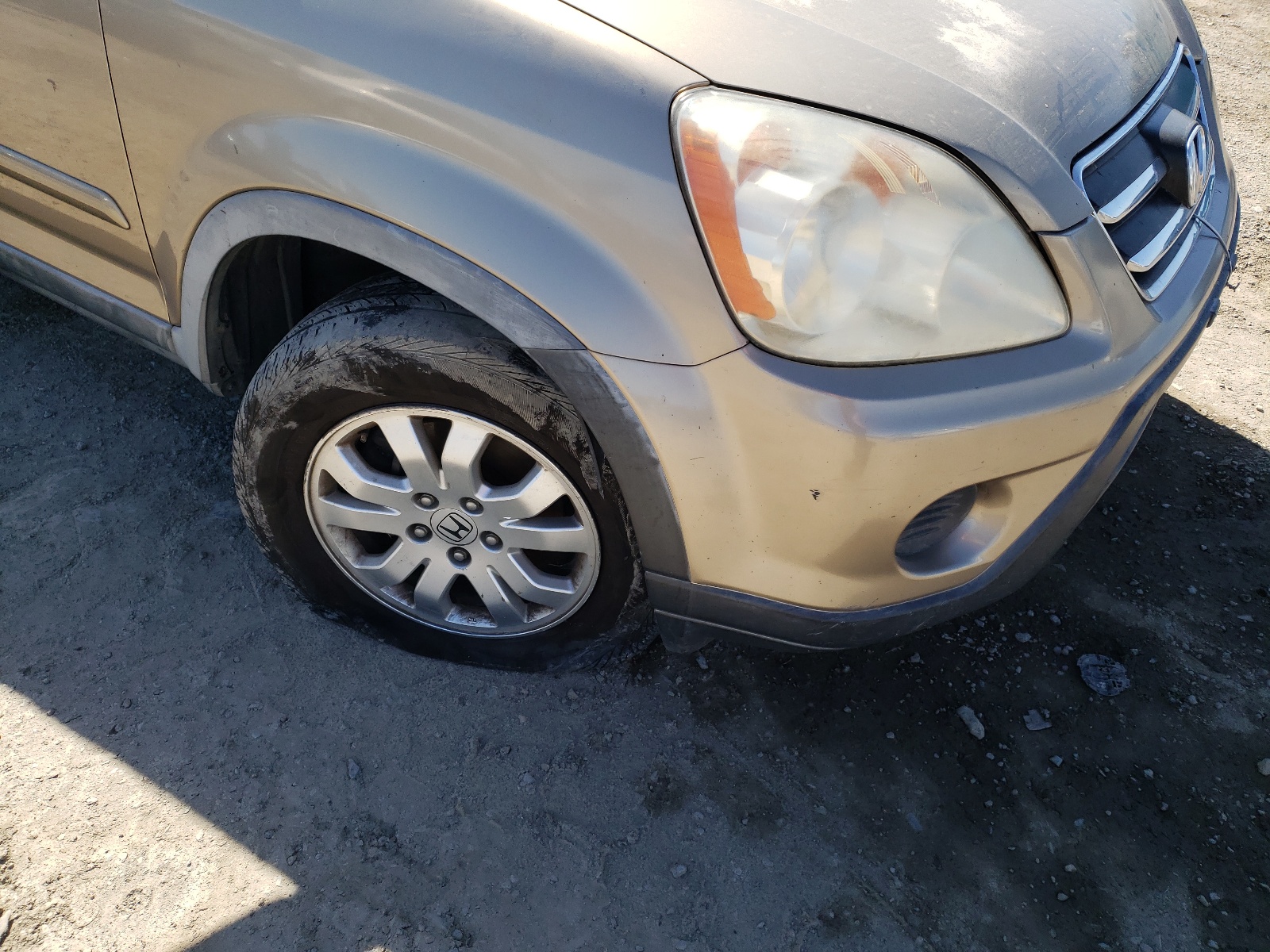 Photo 9 from auction – 2006 HONDA CR-V SE with VIN JHLRD78986C062439