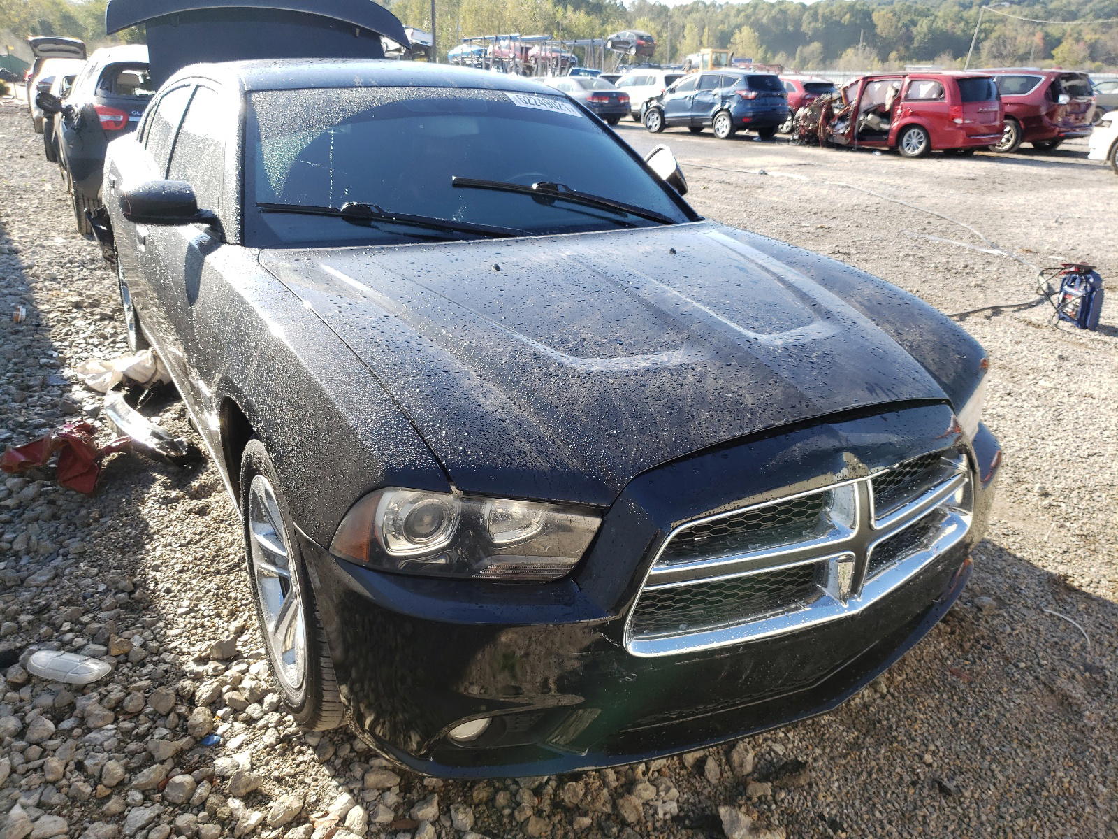DODGE CHARGER R/ 2011 with VIN 2B3CL5CT8BH508711 - Photo from auction