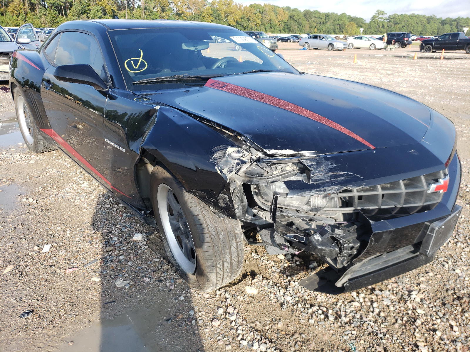 CHEVROLET CAMARO LS 2011 with VIN 2G1FA1ED9B9153311 - Photo from auction