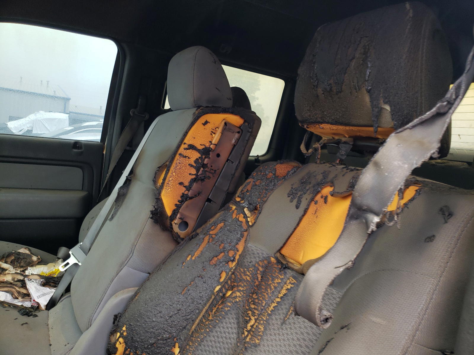 Photo 9 from auction – 2011 FORD F150 SUPER with VIN 1FTFW1EF4BFA42439