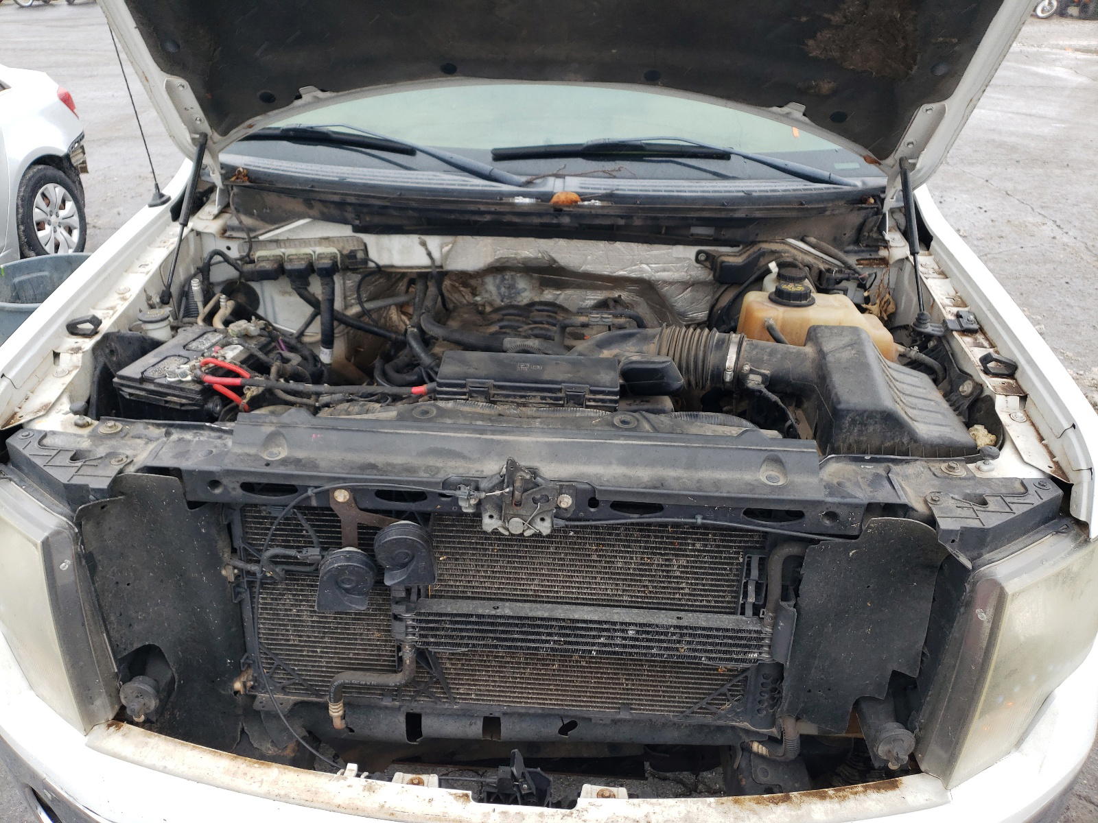 Photo 7 from auction – 2011 FORD F150 SUPER with VIN 1FTFW1EF4BFA42439