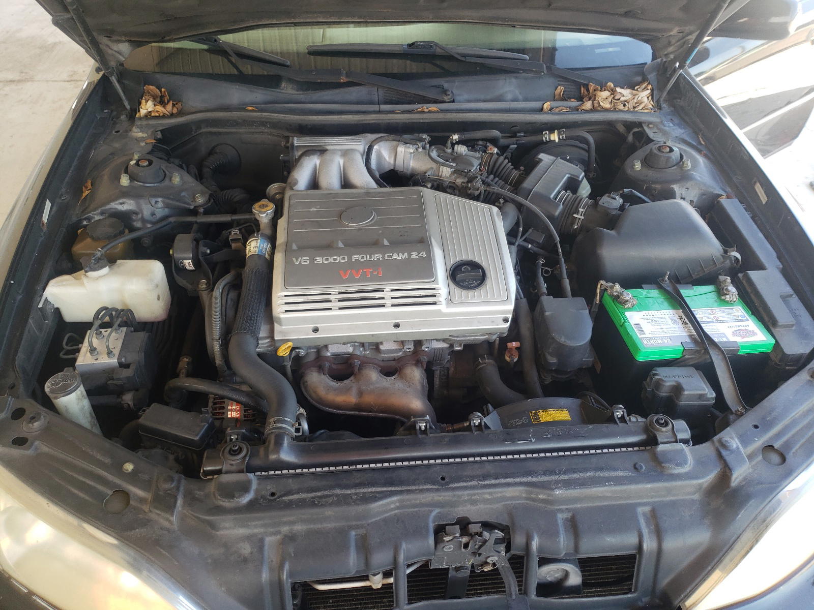 Photo 7 from auction – 2000 LEXUS ES 300 with VIN JT8BF28G8Y5076812